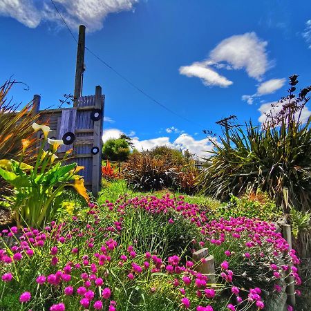 Breathtaking Sea View House叹为观止全海景别墅 Oamaru Esterno foto