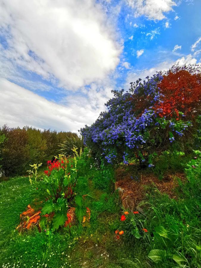 Breathtaking Sea View House叹为观止全海景别墅 Oamaru Esterno foto