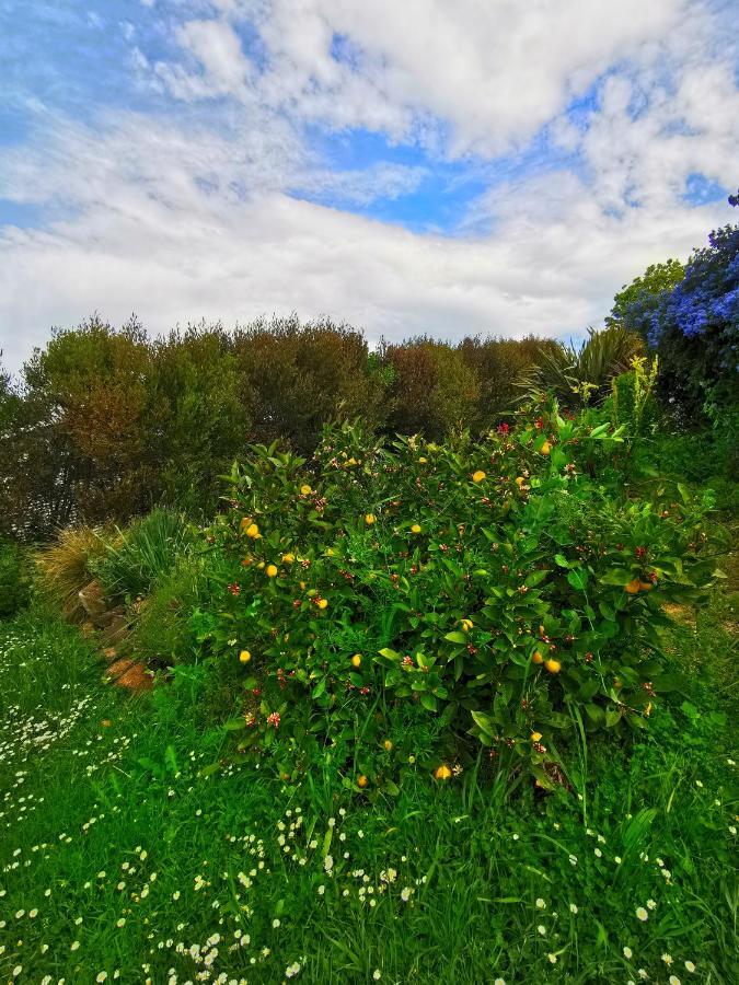 Breathtaking Sea View House叹为观止全海景别墅 Oamaru Esterno foto