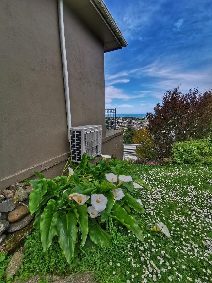 Breathtaking Sea View House叹为观止全海景别墅 Oamaru Esterno foto