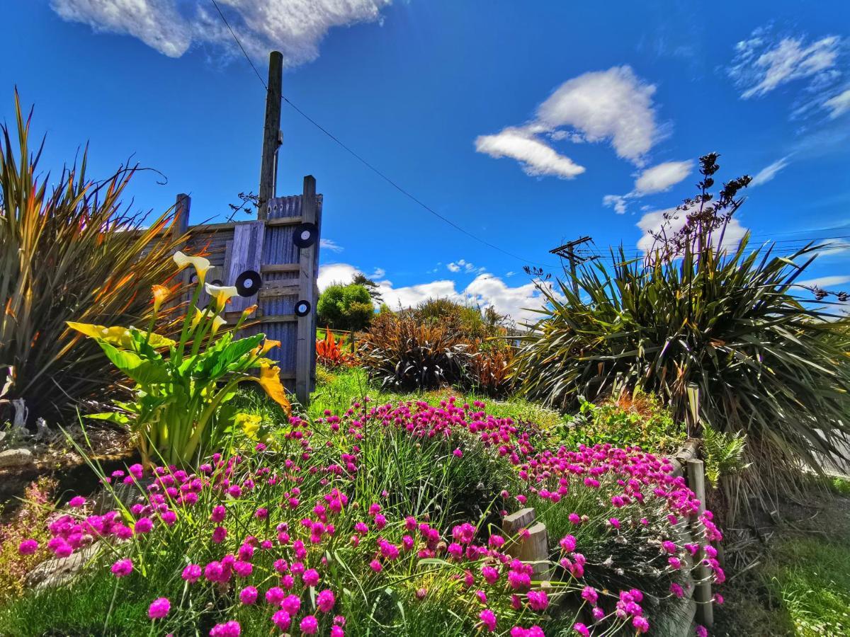 Breathtaking Sea View House叹为观止全海景别墅 Oamaru Esterno foto